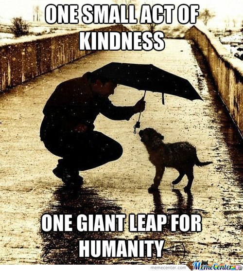 acts of kindness animals