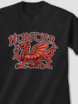 Welsh Dragon : Printed T-Shirts