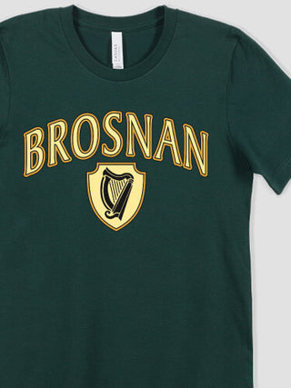 Irish Harp : Printed T-Shirts
