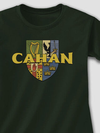 Irish Provinces : Adult Ladies Fitted T-Shirt