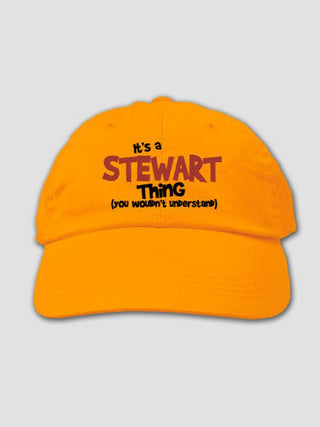 You Wouldn't Understand : Embroidered Baseball Hats