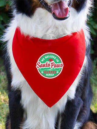 Santa Paws : Dog Bandanas