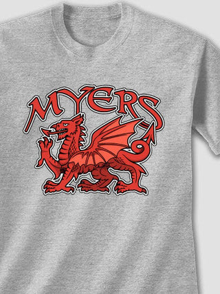 Welsh Dragon : Printed T-Shirts