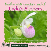preview_lady-slipper
