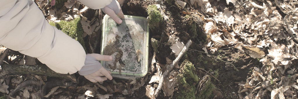 A person buries a time capsule in the woods.